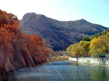 奥门天天开奖免费资料，国槐产地